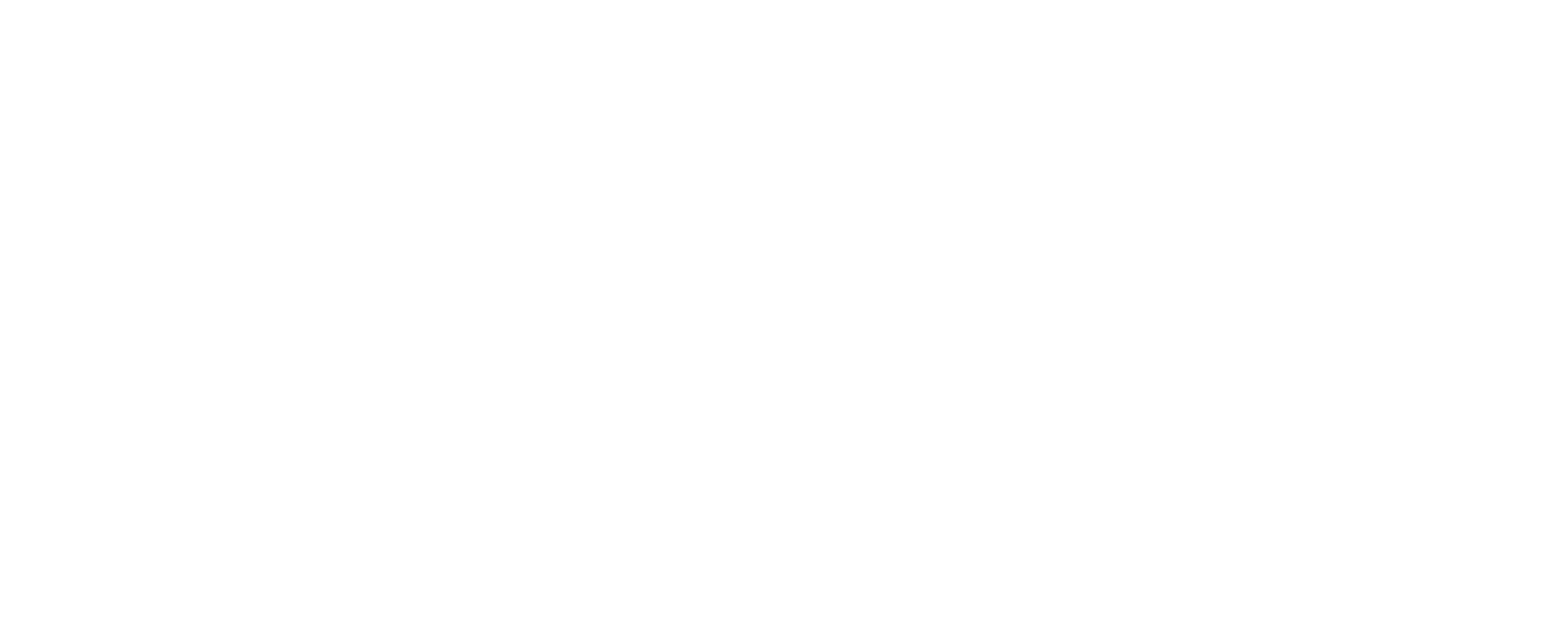 FIRST Institute Logo
