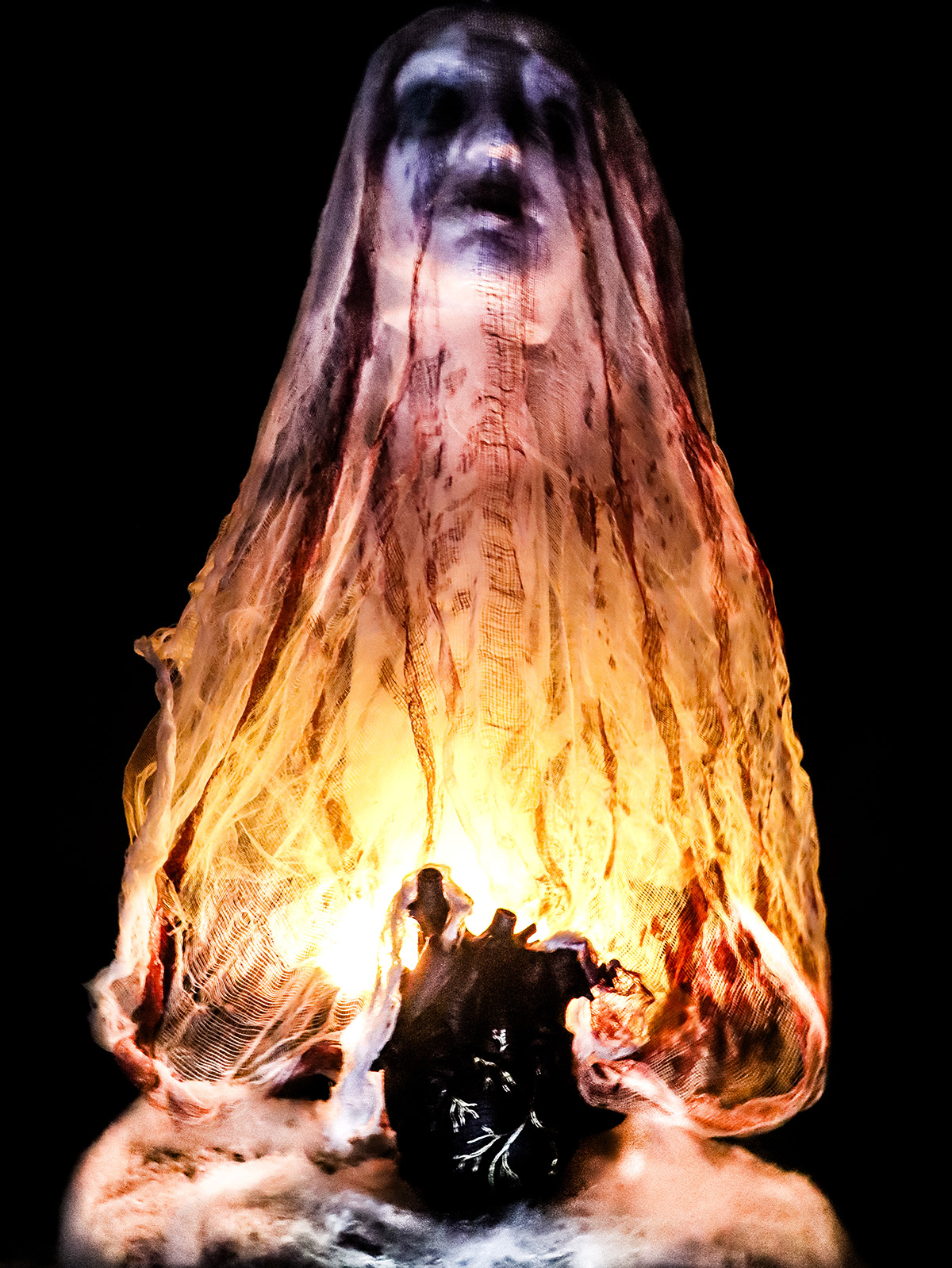 The Blackened Heart - Photography Submission by Abram Spinney