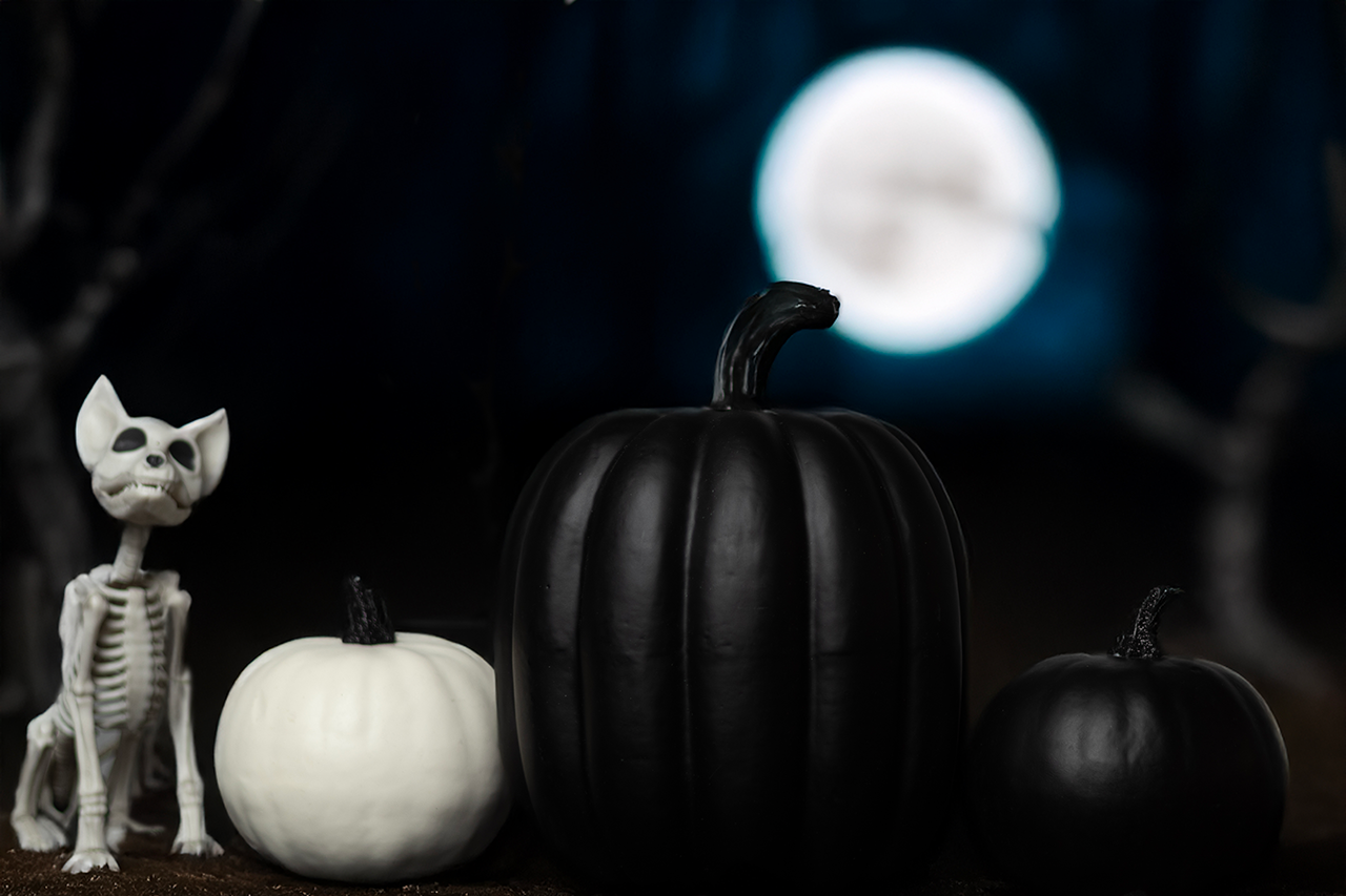 Whispers of the Moon Version 3 - Photography Submission by Rachel Johnson