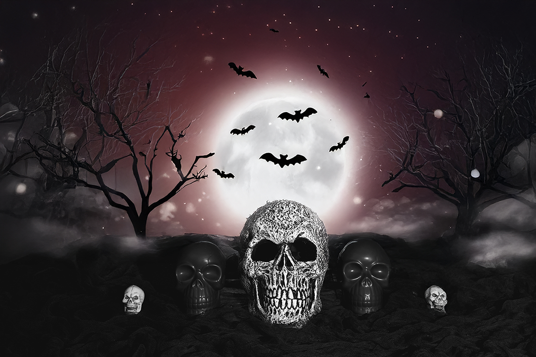 Whispers of the Moon Version 2 - Photography Submission by Rachel Johnson