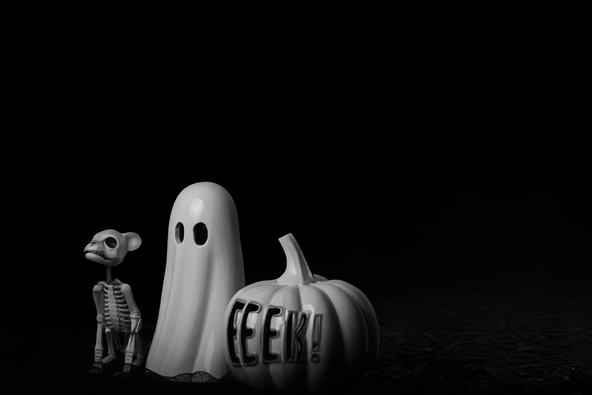 Whispers of the Moon Version 1 - Photography Submission by Rachel Johnson